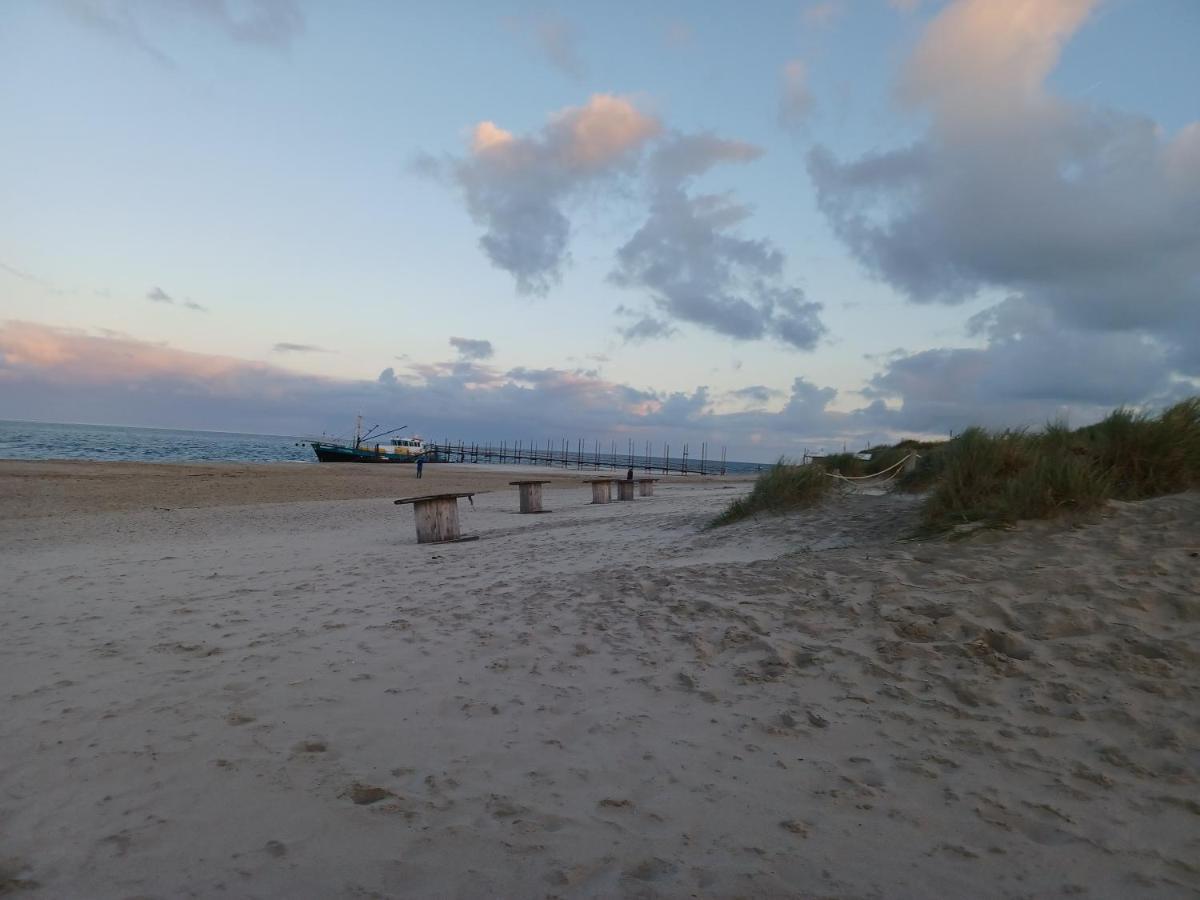 Chalet Duunzicht Texel دي كوكْسدوربْ المظهر الخارجي الصورة